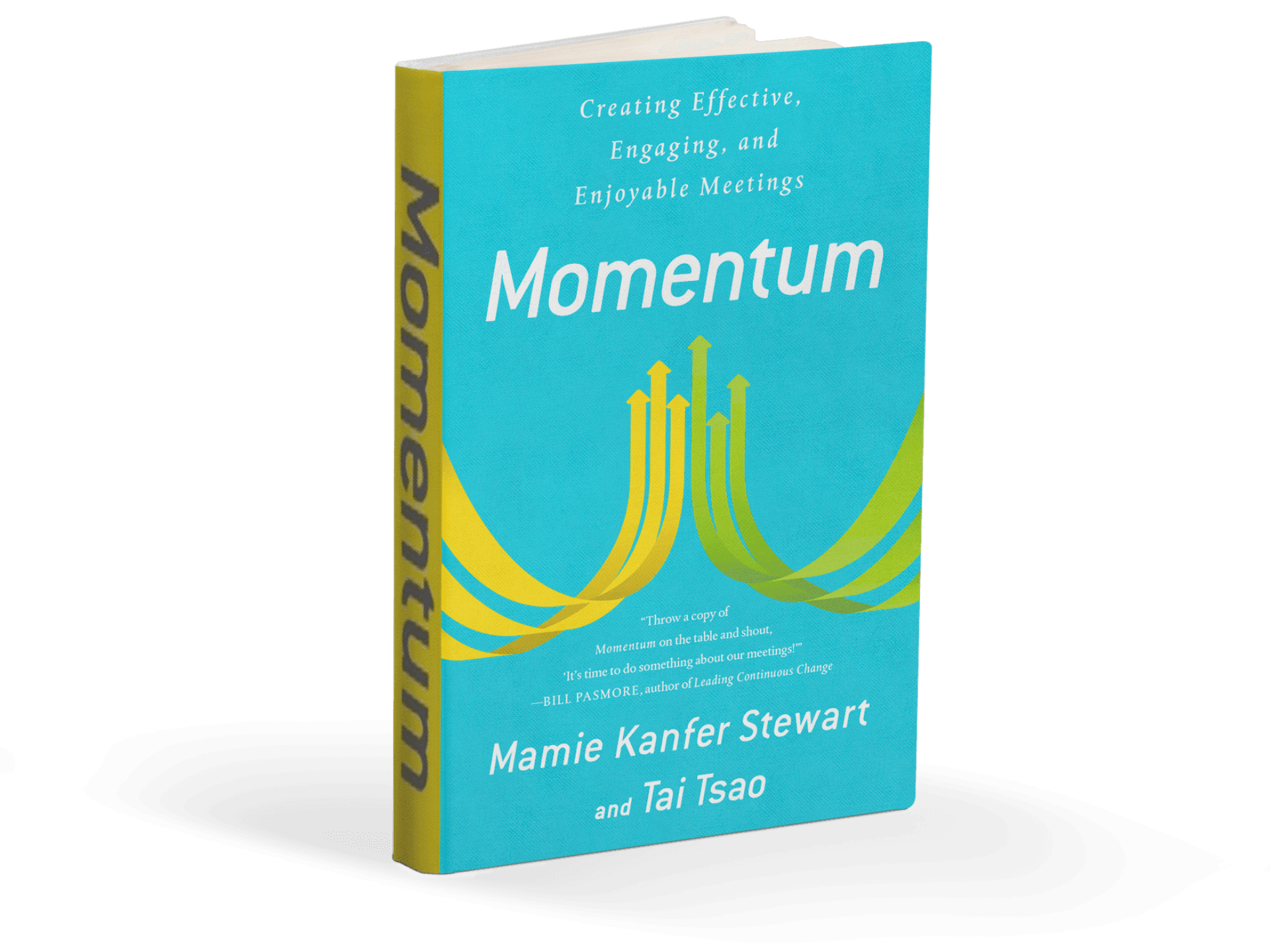 Momentum book by Mamie Kanfer Stewart